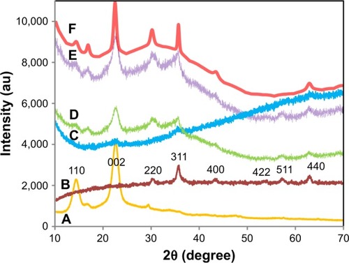 Figure 3 XRD patterns of pure BNC (A), pure Fe3O4 NPs (B) and BNC/Fe3O4 nanocomposites (1.0, 4.0, 8.0, and 16.0 wt%) (C–F), respectively.Abbreviations: XRD, X-ray diffraction; NPs, nanoparticles; BNC, bacterial nanocellulose.