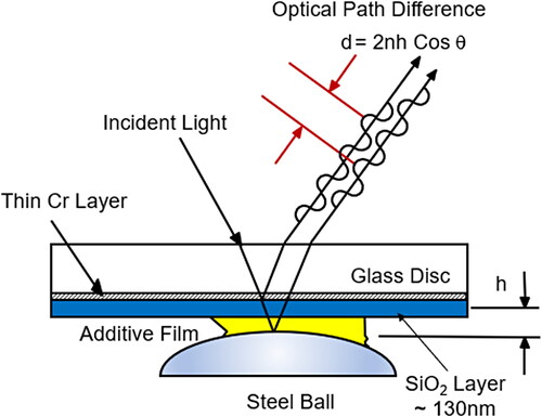 Figure 5. Optical path of light used to measure tribofilm thickness using optical interferometry.