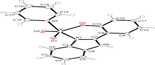 Figure 7 Represents ammonium vanadate reacted with 2-hydroxyphenylbenzothiazole (Hobs) and 2-hydroxyphenylbenzothiazole (Hobz), the paramagnetic vanadium (IV) compound, [VO (obs)2]n (1) and the diamagnetic vanadium(V) complex, cis-[VO2(obz)py] (2) were isolated, respectively. The 2:1 molar reaction between 2-pyridylbenzimidazole (Hpybz) and VOSO4 afforded complex 3.H2O, [VO(Hpbyz)2SO4] in good yield. 4658121203970, Polyhedron, Elsevier.