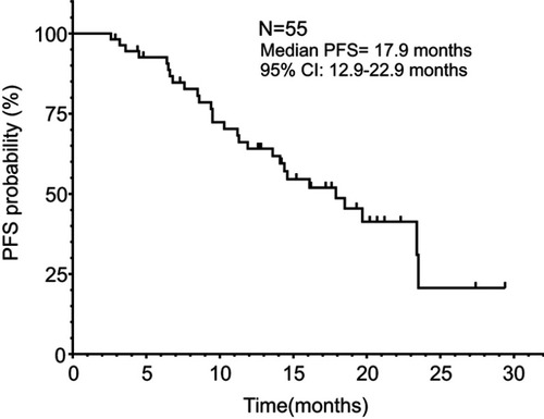 Figure 1 Kaplan–Meier plot of PFS for all patients.