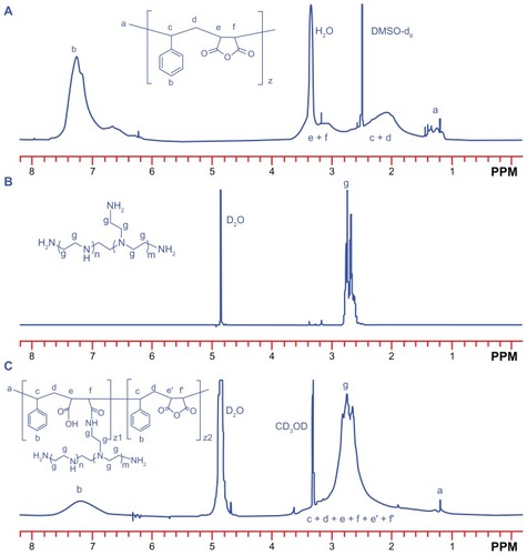 Figure 2 1H nuclear magnetic resonance (400 MHz) spectra of (A) SMA (DMSO-d6), (B) PEI 800 (D2O) and (C) SP (D2O–CD3OD, volume ratio of 1:1).Abbreviations: SMA, poly(styrene-co-maleic anhydride); SP, polyethyleneimine 800 conjugated poly(styrene-co-maleic anhydride); PEI, polyethyleneimine.