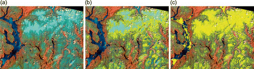 Fig. 3 Zoom-in over a subsector of scene #2 (Côte-Nord): (a) Landsat image in false colours (red: Band 5, green: Band 4, blue: Band 3); (b) same as (a) plus snow-covered pixels detected by the SNOWMAP algorithm (in yellow); (c) same as (a) plus snow-covered pixels detected by the modified SNOWMAP algorithm (in yellow).
