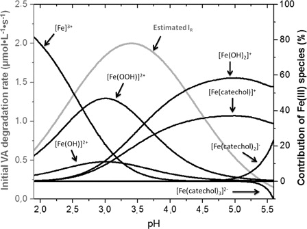 Figure 5. Contribution percentages of Fe(III) species in VA degradation by a catechol-driven Fenton-like reaction. Black line: Fe(III) species, gray line: estimated initial VA degradation rate.