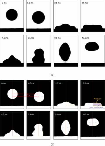 Figure 2. Images of the (a) sample during impingement (b) analyzed sample.