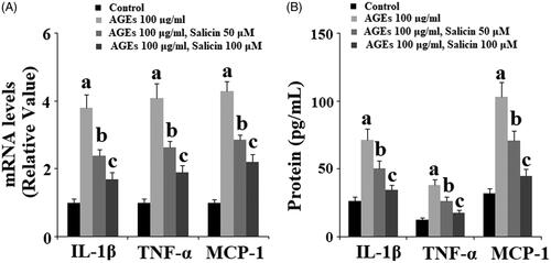 Figure 2. Salicin treatment suppressed the expression and secretions of pro-inflammatory cytokines. Human SW1353 cells were treated with 100 μg/ml AGEs in the presence or absence of 50 and 100 μM salicin for 48 h. (A). Expressions of IL-1β, TNF-α, and MCP-1 at the mRNA levels were determined by real time PCR analysis; (B). Secretion of IL-1β, TNF-α, and MCP-1 was determined by ELISA.