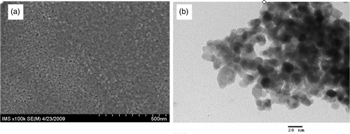 Figure 3. (a) SEM image and (b) TEM image of N40 thin films.