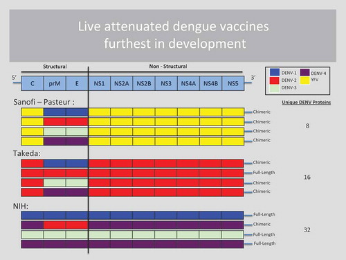 Figure 1. The three live-attenuated dengue vaccines furthest in development.