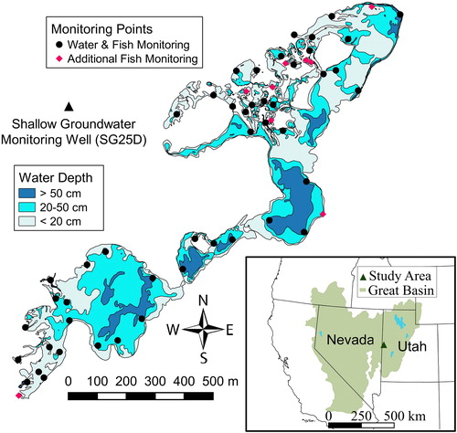 Figure 1. Map of the Leland Harris Spring Complex showing bathymetry isolines, locations of UGS shallow groundwater monitoring well SG25D, surface water and fish visual monitoring sites, and additional monitoring sites where visual surveys of fish were conducted from April through October 2013.