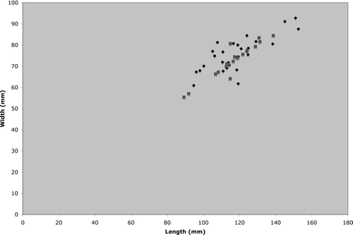 FIGURE 5 Scatter plot (length vs. width) of Rusophycus carleyi and the trilobites from the Ouzina locality. The length and width of the trilobite, when only fragments were available were inferred by extrapolating proportions from parts, with ratios taken from four Asaphellus species from the Ordovician of Morocco. The black diamonds are the trilobites and the grey squares are Rusophycus carleyi. All specimens are from the Upper Fezouata Formation, Ouzina, southern Morocco.