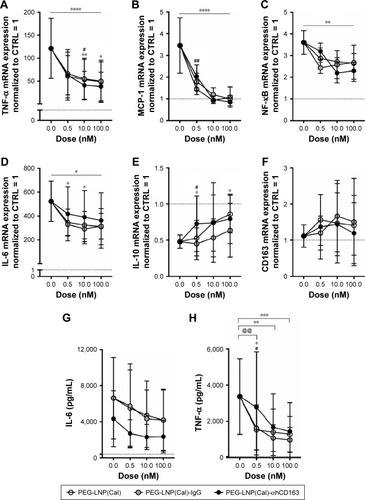 Figure 3 mRNA gene expression analyses of selected target genes, protein analyses of IL-6 and TNF-α, and analysis of surface marker expression of HLA-DR and CD80 to investigate the effects of non-targeted and targeted PEG-LNP(Cal) in LPS-induced human Mφ. (A–H) Human Mφ (1×106 cells/well) from buffy coats (n=3) were pretreated with different doses (0.5, 10, and 100 nM) of either PEG-LNP(Cal), PEG-LNP(Cal)-IgG(h), or PEG-LNP(Cal)-αhCD163 for 24 hours following LPS challenge (μL/mL) for 4 hours. The second derivative max method was used to calculate the relative mRNA concentration of each sample. Target gene expression levels (NF-κB, TNF-α, MCP-1, IL-6, IL-10, and CD163) were normalized to the stable housekeeping gene GAPDH expression level, and the resulting mRNA ratios were normalized to untreated control Mφ and given the value 1 (dotted horizontal line). Two-way ANOVA along with Tukey’s multiple comparisons test was performed on all targets to investigate the difference between LNP types per dose and the specific dose-dependent response per LNP type. *P≤0.05, **P≤0.01, ***P≤0.001, and ****P≤0.0001. Asterisks over the horizontal line indicate dose-dependent significance. (A) #10 nM PEG-LNP(Cal) vs 10 nM PEG-LNP(Cal)-αhCD163, * and **PEG-LNP(Cal)-IgG(h) vs PEG-LNP(Cal)-αhCD163. (B) ##PEG-LNP(Cal) vs PEG-LNP(Cal)-αhCD163. (C) **The horizontal line above shows dose-dependent significance for non-targeted and targeted PEG-LNP(Cal). (D) *The horizontal line above illustrates significant dose-dependent response for PEG-LNP(Cal) and PEG-LNP(Cal)-IgG(h). *For both 0.5 and 10 nM PEG-LNP(Cal)-IgG(h) vs 0.5 and 10 nM PEG-LNP(Cal)-αhCD163. (E) #0.5 nM PEG-LNP(Cal) vs 0.5 nM PEG-LNP(Cal)-αhCD163, *0.5 and 100 nM PEG-LNP(Cal)-IgG(h) vs 0.5 and 100 nM PEG-LNP(Cal)-αhCD163. (G, H) Cell culture supernatant was collected from Mφ (n=3). Protein concentration of (G) IL-6 *(outlier removed from IL-6 ELISA) and (H) TNF-α protein level (pg/mL) was measured using a commercial human IL-6 and TNF-α kit. Dotted horizontal line indicates the protein level detected in control Mφ. Two-way ANOVA with Tukey’s multiple comparisons test was performed. ***Statistically significant difference for all 100 nM LNP types. **For all 10 nM LNP types. @@For 0.5 nM PEG-LNP(Cal) and 0.5 nM PEG-LNP(Cal)-IgG(h). #0.5 nM PEG-LNP(Cal) vs 0.5 nM PEG-LNP(Cal)-αhCD163. *0.5 nM PEG-LNP(Cal)-IgG(h) vs 0.5 nM PEG-LNP(Cal)-αhCD163. (I, J) MFI of surface markers HLA-DR and CD80 on DID+ LPS-induced Mφ pretreated with 10 and 100 nM PEG-LNP(Cal)-αhCD163. Overall MFI of surface markers on live LPS-induced Mφ population; mean MFI HLA-DR: 1978 and mean MFI CD80: 446.Abbreviations: Mφ, macrophages; LNPs, lipid nanoparticles; PEG, polyethylene glycol; PEG-LNP(Cal), calcitriol PEGylated lipid nanoparticles; LPS, lipopolysaccharide; MFI, median fluorescence intensity; TNF-α, tumor necrosis factor-alpha; MCP-1, monocyte chemoattractant protein; NF, nuclear factor; IL, interleukin.