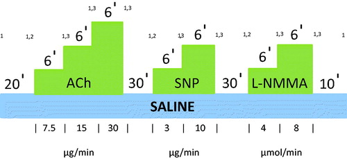 Figure 2. Ach, SNP and L-NMMA infusion pattern in FBF studies. FBF will be measured at baseline and after 20 mins of saline intra-arterial infusion at a rate 1 ml/min. Following this, 3 different concentrations of Ach will be infused intra-arterially at the same rate for 6 mins each. At the last 3 mins of each infusion period FBF will be measured. After 30 mins of washout 2 different concentrations of SNP will be infused intra-arterially for 6 mins each, and FBF will be measured again at the last 3 mins of each infusion period. Following 30 mins washout period 2 different concentrations of L-NMMA will be infused intra-arterially for 6 mins each, and FBF will be measured again at the last 3 mins of each infusion period. A final 10 min of saline will then be infused. BP and heart rate will be recorded at baseline, and at the end of each infusion. 1Blood pressure and heart rate recorded at baseline and at the end of each infusion. 2Basal FBF recorded after 20-min Saline infusion. 3Forearm blood flow recorded after each dose of challenge agent for 3 min. Abbreviations. Ach, acetylcholine; SNP, sodium nitroprusside; L-NMMA, L-NG-monomethyl-arginine acetate; FBF, forearm blood flow.