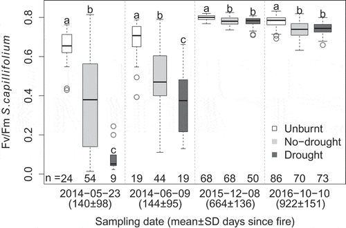 Figure 2. Boxplots of the chlorophyll fluorescence Fv/Fm ratio of S. capillifolium capitula, for the different plot treatments and sampling dates. Width of the box is proportional to the number of observations, provided below each boxplot. Different letters above boxplots within sampling date indicate significant differences (α = 0.05). Generally, wet weather before sampling meant Sphagnum was probably not stressed due to desiccation. See Supplementary material for statistical testing details (Tables S2 and S3), weather information (Table S4) and Fv/Fm vs. time since fire for individual samples (Figure S1).