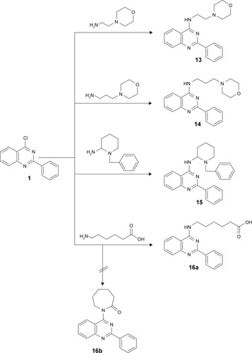 Figure 2 Synthesis of derivatives 13–16.