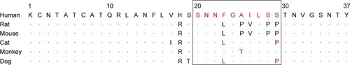 Figure 3 Alignment of IAPP amino acid sequences from different species.