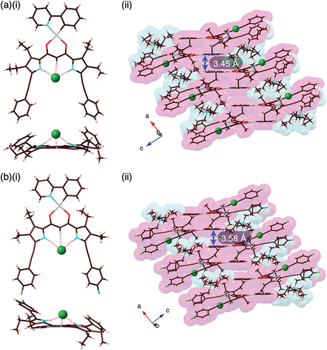 Figure 4. Single-crystal X-ray analysis of (a) 2b·Cl–-TBA+ and (b) 2c·Cl–-TBA+ ((i) top and side views and (ii) packing diagrams). Atom color code in Figure 4 and the following figures: brown, pink, blue, red, yellow green, green (spherical), and gray refer to carbon, hydrogen, nitrogen, oxygen, fluorine, chlorine, and platinum, respectively.