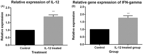 Figure 2. (A) Relative expression of IL-12. IL-12 gene expression in the group treated with IL-12 is UP-regulated (compared to the control group) by a mean factor of 1.9 (P = 0.000; standard error range is 1.90–1.90). (B) Relative expression of IFN-γ. IFN-γ gene expression in the group treated with IL-12 is up-regulated (compared to the control group) by a mean factor of 1.76 (P = 0.00; SE range is 1.76–1.76).