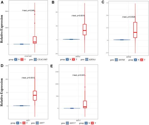 Figure 7 Validation of hub genes expression in PDAC and non-PDAC clinical samples using qRT-PCR. The relative expression level of the five hub genes.