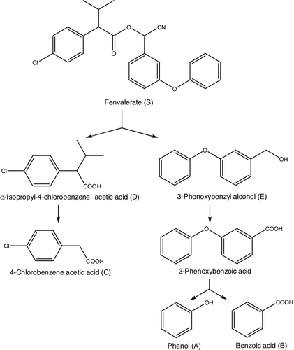 Figure 5. Proposed metabolic pathway of fenvalerate degradation by B. licheniformis CY-012.