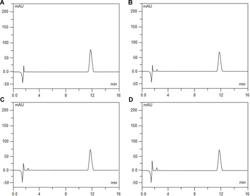Figure 3 Chromatograms of 4μg/mL naloxone hydrochloride admixtures that were freshly prepared (A), exposed to 0.1 mol/L hydrochloric acid (HCl) at 60°C for 5 hours (B), exposed to 0.1 mol/L sodium hydroxide (NaOH) at 60°Cfor 5 hours (C), and exposed to 3% hydrogen peroxide (H2O2) at 60 for 5 hours (D). Naloxone hydrochloride at 11.97 min.