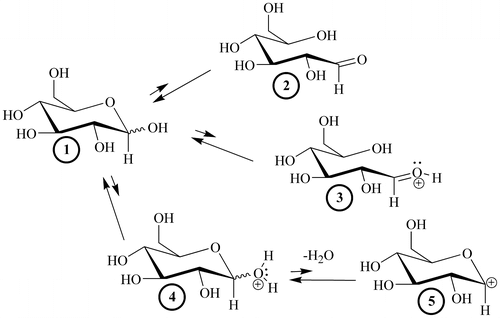 Figure 3. The four modified, transient electrophiles (2–5) that can theoretically be generated from a glucopyranose, 1.