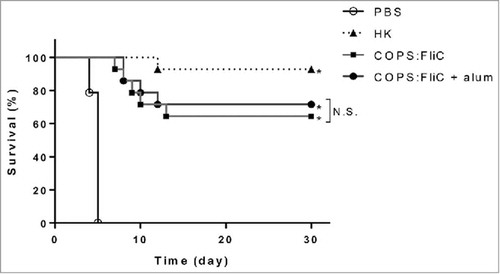 Figure 4. Protection against S. Newport infection in mice immunized with S. Newport COPS:FliC conjugate with or without adjuvant. BALB/c mice (n = 14/group) as described in Figure 2, were immunized with heat-killed S. Newport Chile 361 (HK), PBS or S. Newport COPS:FliC conjugate alone or with formulated with alum. Kaplan-Meier survival curves after challenge with 3 × 107 CFU (6xLD50) were compared using log rank analysis. *P <0.0001, N.S. – not significant