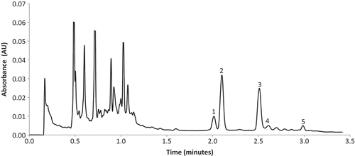 FIGURE 1 UHPLC Chromatogram of hot pepper extract [1-nordihydrocapsaicin (n-DHC); 2-capsaicin (C); 3-dihydrocapsaicin (DHC); 4-homocapsaicin (h-C); 5-homodihydrocapsaicin (h-DHC)]. Absorbance detection at 280 nm.