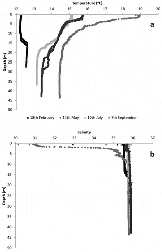 Fig. 4. Vertical profiles of (a) temperature and (b) salinity obtained during the four sampling surveys.