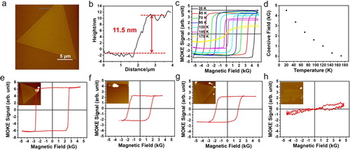 Figure 5. a, AFM image and b, the corresponding height profile of a single Cr2Te3 crystal, which shows a thickness of 11.5 nm. The black line in a corresponds to the height profile of b. c, normalized MOKE hysteresis loops and d, temperature-dependent coercivity of the corresponding Cr2Te3 crystal. e, f, g, h, MOKE hysteresis loops of Cr2Te3 2D crystals with different thicknesses, 25.2, 12.2, 7.8, and 2.8 nm, respectively. e–g were measured at 120 K; h was measured at 20 K. Inset: AFM images of the corresponding Cr2Te3 crystals.