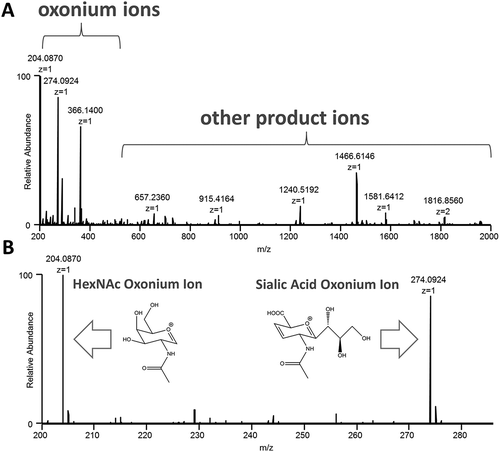 Figure 1. Oxonium ions are generated after data-independent, all ion fragmentation (AIF) of glycopeptides during LC-MS/MS analysis, and are extracted from the MS/MS data to create profiles for comparing samples. An example mass spectrum (A.) and a zoomed-in version (B.) with illustrated structures of the HexNAc and sialic acid ions are shown.