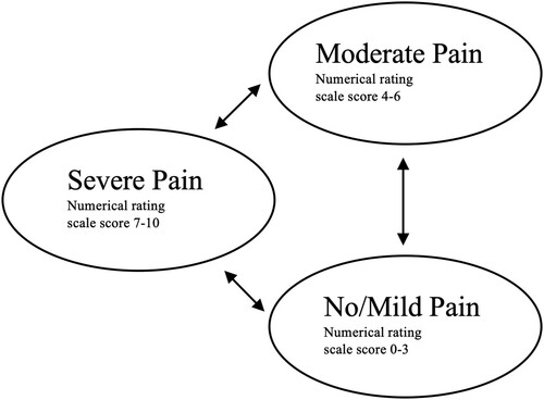 Figure 1 Markov model describing patient transition between pain states over a three-month time horizon.