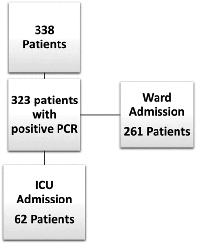 Figure 1. Flow chart of patients’ recruitment