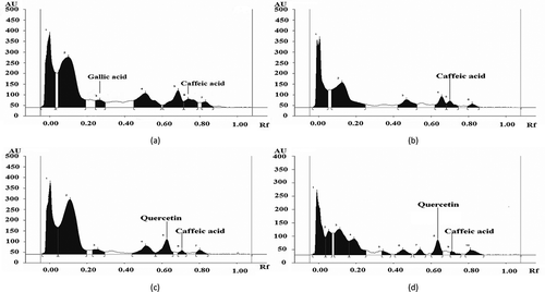 Figure 1. HPTLC profile of ME of L. cylindrica as developed in chloroform: hexane: methanol: formic acid (6.4: 3.9: 2.0: 0.5) (a) raw, (b) pressure cooked, (c) microwave cooked, and (d) fried.