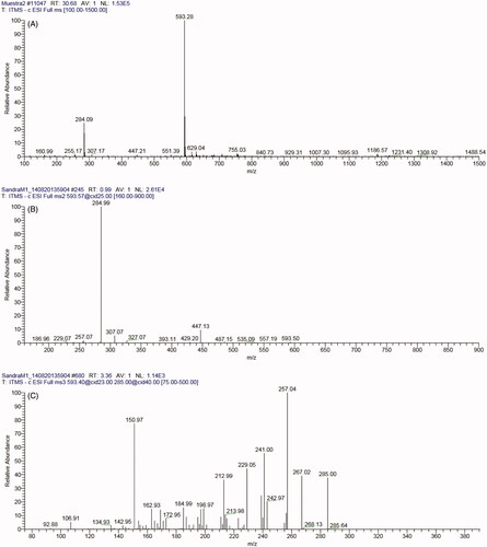 Figure 2. ESI-MSn in negative mode of the compound F1. Full scan (A) and fragmentation of ion m/z 593, MS2 (B) and MS3 (C).