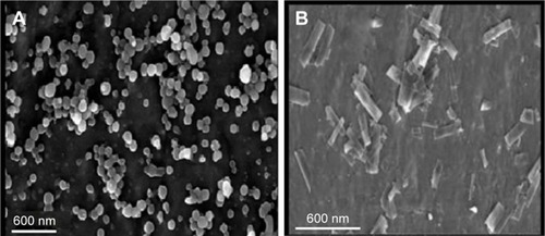 Figure 2 SEM micrographs of HPMC-PVP-FLU (A) and EUD-PVP-FLU (B) nanoparticles.