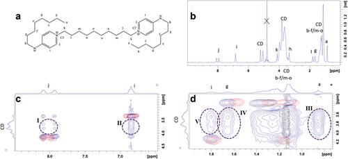 Figure 4. Characterization of HPβCD:Oct 2:1 mixture by 1H NMR. a) Assigned structure of Oct. b) 1H NMR spectrum of HPβCD:Oct (r = 2) mixture in D2O. c) Enlarged region of ROESY spectrum emphasizing through-space (NOE) interaction between aromatic Oct signals and cyclodextrin. d) Enlarged region of ROESY spectrum emphasizing through-space.