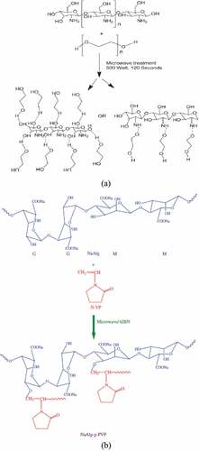 Figure 2. (A) Possible interaction mechanism of CS and PEG following microwave treatment (Reused from [31]) and (b) Proposed scheme for graft copolymerization of NaAlg (Reused from [35]).