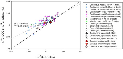 Figure 6. The relationships between Δ14C-SOC and Δ14C of soil DOC or soil WEOC. Data from nine previous studies are also included (Table 1). Blue triangles, purple circles, green diamonds, and gray stars are for conifers, deciduous trees, mixed forests, and other plants such as shrubs and grasses. Black triangles are for Cryptomeria japonica whereas red circles are for Quercus acutissima in this study. Gray and black dashed lines are linear regression line and 1:1 line, respectively.
