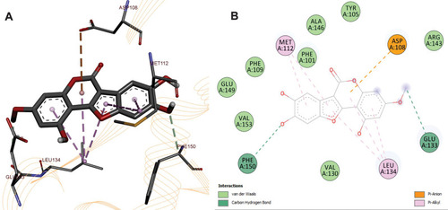 Figure 10 (A) 3D and (B) 2D poses of WDL with B-cell lymphoma 2 Protein (Bcl-2) PDB ID: 4LXD.