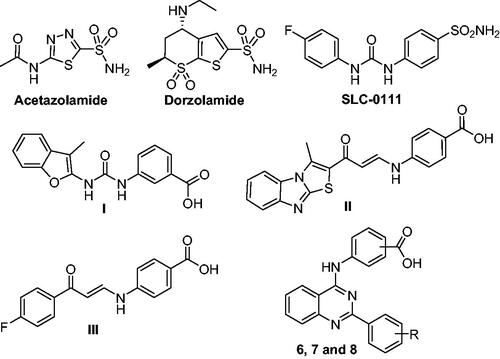 Figure 1. Structure of acetazolamide, dorzolamide, SLC-0111, non-classical CAIs (I–III), and the target inhibitors (6, 7, and 8).