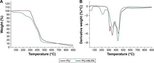 Figure 6 Thermal stability of PU and PU-HN-PA electrospun membrane.Notes: (A) TGA graph and (B) DTGA graph.Abbreviations: DTGA, derivative weight loss curve; HN, honey; PA, Carica papaya; PU, polyurethane; TGA, thermogravimetric analysis.
