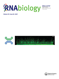Cover image for RNA Biology, Volume 18, Issue sup2, 2021