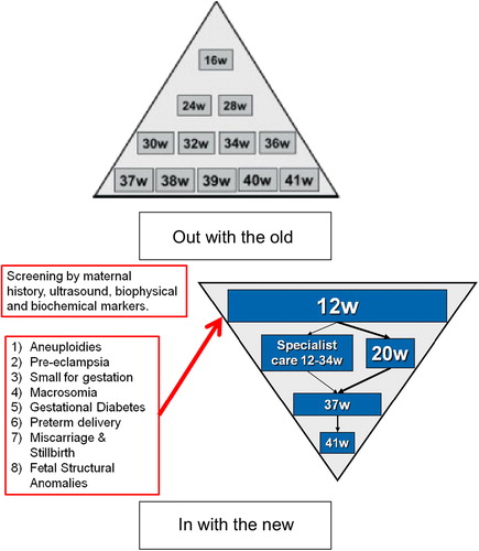 Figure 1. Inverting the Pyramid of Antenatal Care to focus on the 11–13 week assessment. (modified from Nicolaides [Citation37]).