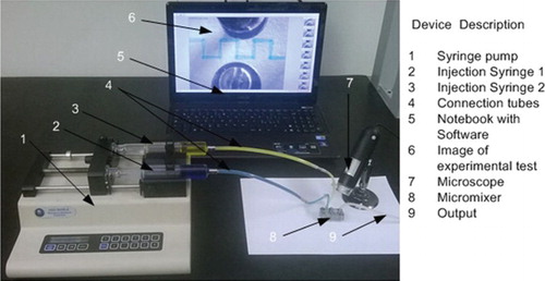 Figure 4 Experimental setup.