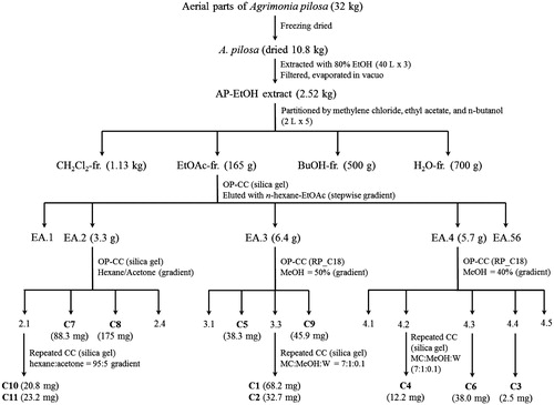 Figure 1. Extraction and isolation scheme of compounds (1–11) from A. pilosa Ledeb.