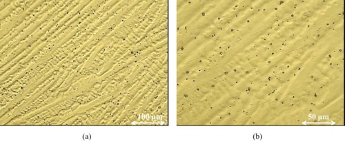 Figure 10. The microstructure of 309 weld metal near the fusion line in two different magnifications: (a) 100 µm and (b) 50 µm.