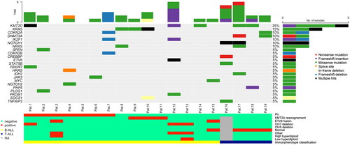 Figure 2. Oncoplot for visualization of mutations in trALL each column represents a patient sample and each row a different gene. The bottom barplot shows the corresponding cytogenetic and immunophenotypic profile. Percentages are rounded to 5% increments. Chr chromosome NA not available Ph Philadelphia chromosome TMB total mutation burden.