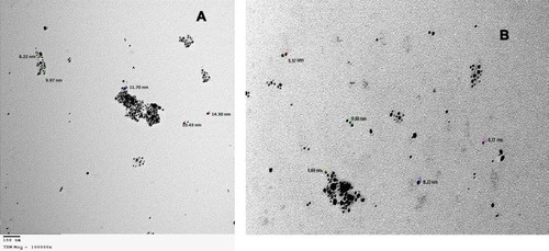 Figure 3 TEM for shape and size of produced SNPs of (A) total extract of Amphimedon sp. and (B) Petroleum ether fraction of Amphimedon.Abbreviations: TEM, transmission electron microscopy; SNPs, silver NPs