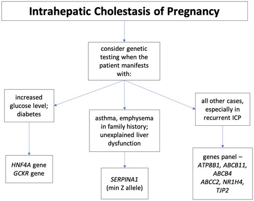 Flowchart 1. Genetic counseling and testing in high-risk patients with a genetic background for intrahepatic cholestasis of pregnancy.