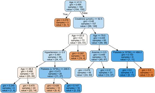 Figure 2 Single arbitrarily chosen decision tree from the random forest approach for an 85-year-old male with heart failure. Value corresponds to the number of samples in each node that belong to HFpEF and HFrEF, respectively. Gini is a measure of the impurity at each node and parallels the disparity of the values at each location. Anemia and hypertension are Boolean values where 0 is false and 1 is true.