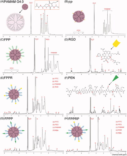 Figure 2. 1H NMR spectra of PAMAM G4.0 (A), FP (B), FPP (C), RGD (D), FPPR (E), PEN (F), FPPP (G), and FPPRP (H) in D2O.